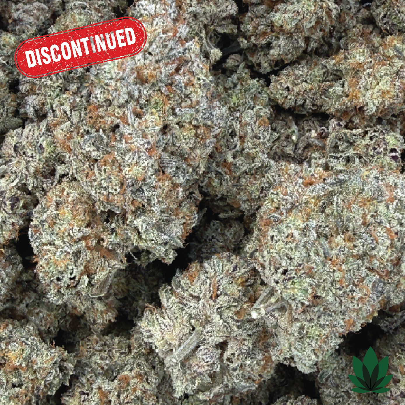 Scented Marker Clone - Seed Junky Genetics