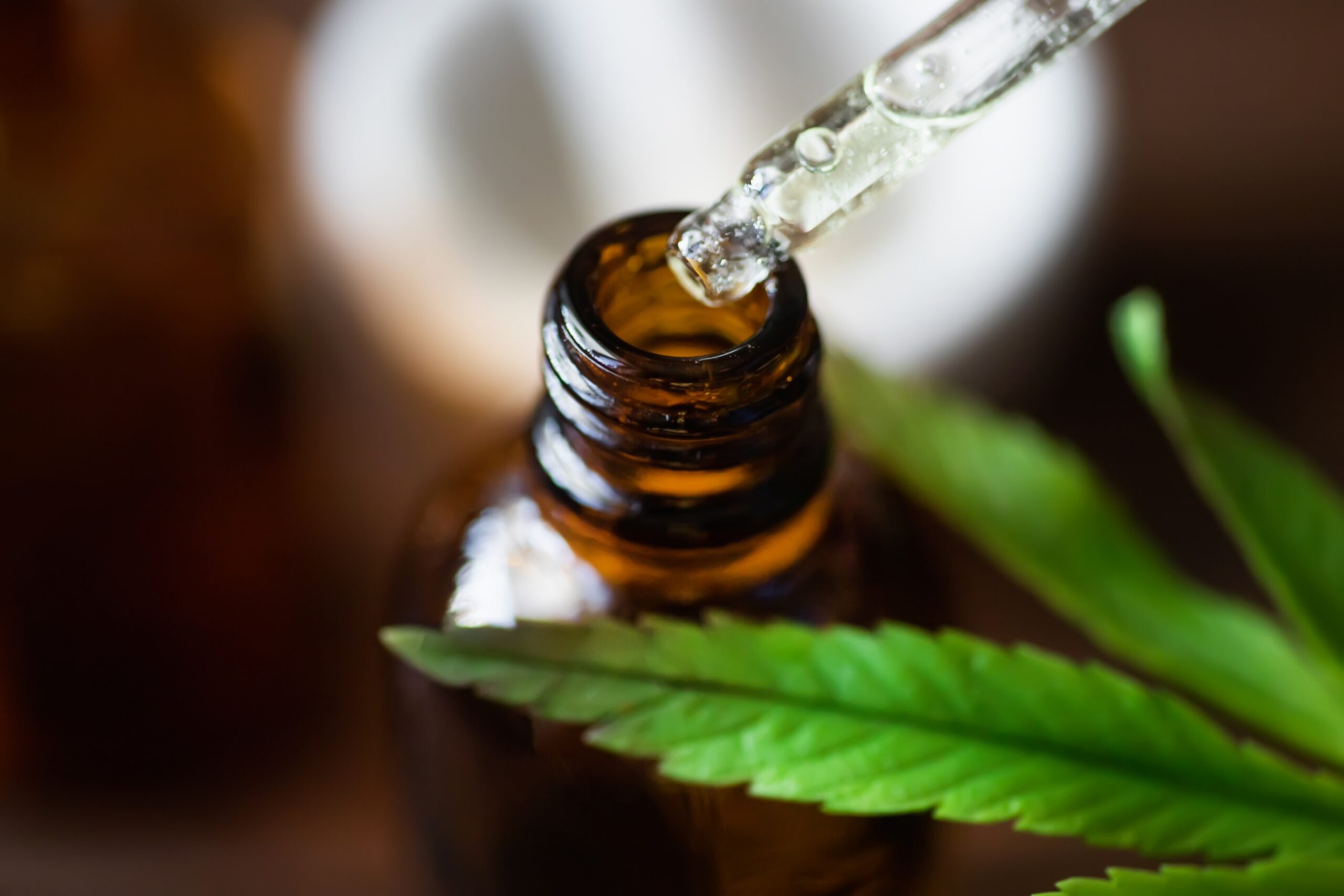 Featured image for “Buy CBD Oil Johannesburg: What to Look For”