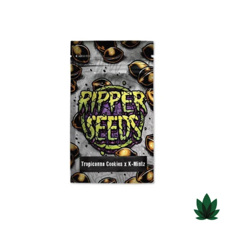 Tropicanna Cookies x K-Mintz - Ripper Seeds